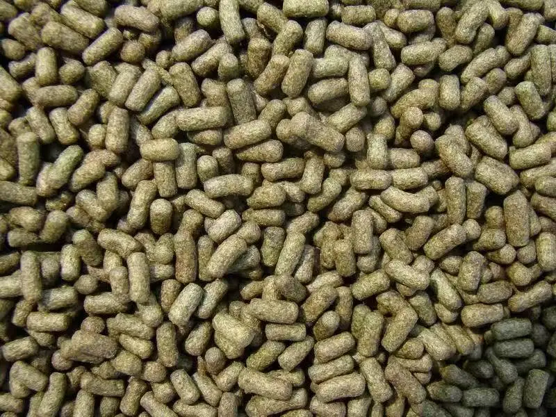 Fish Feed Pellet Manufacturing Machine Feed Extruder