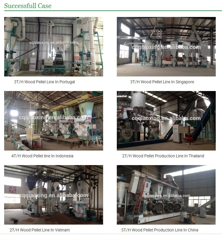 1t/H Capacity Ring Die Biomass Wood Pellet Mill Biomass Pelletizing Machine