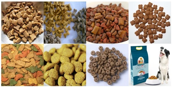 Large Scale Dry Wet Shrimp Tortoise Floating Sink Fish Feed Pellet Pet Cat Dog Food Making Processing Extrusion Machine