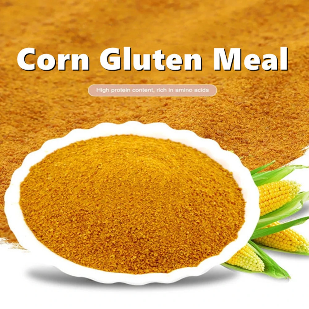 Corn Gluten Feed Pellet Meal 60% Protein Protein Powder Supplement Corn Gluten Feed
