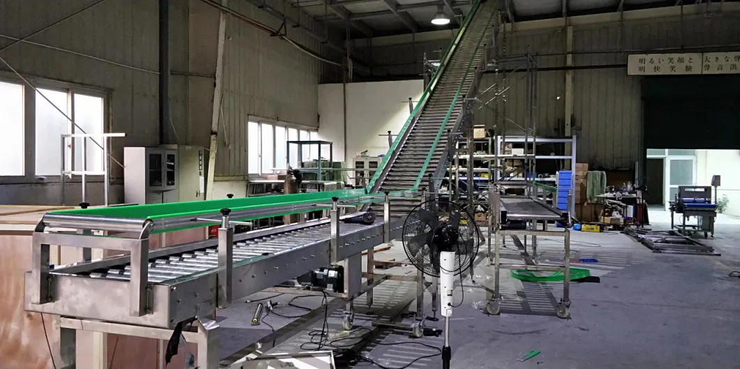 Belt Curve PVC PU Modular Belting Conveyor System Abrasion Resistant Powder Coating Steel PVC Belt Conveyor System for Transport Powders and Granulates