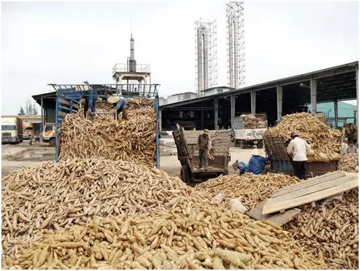 Cassava Residue or Tapioca Residue Pellet Feed Ingredients