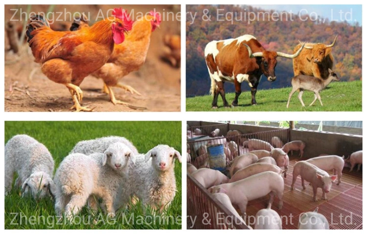 Poultry Feed Pellet Making Machine, Chicken Feed Pellet Mill, Feed Pelletizing Machine, Animal Feed Production Line, Animal Feed Machine