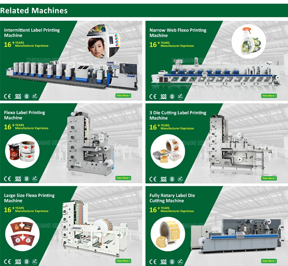 Sticker Label Die Cutting Machine for Sticker Labels Auto Flat Die Cutting Machine with Servo Motor