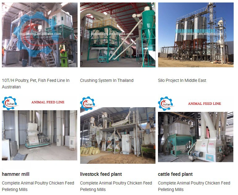 China Made Poultry Feed Pellet Making Machine, Chicken Feed Pellet Mill, Animal Feed Pelletizing Machine, Animal Feed Production Line, Pellet Mill Line