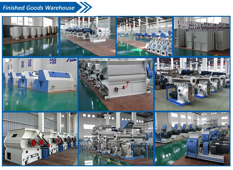 Gamma 1-5t/H Poultry Cow Sheep Fish Pet Extruder Pellet Mill Mixer Hammer Mill Packing Machine Feed Production Line