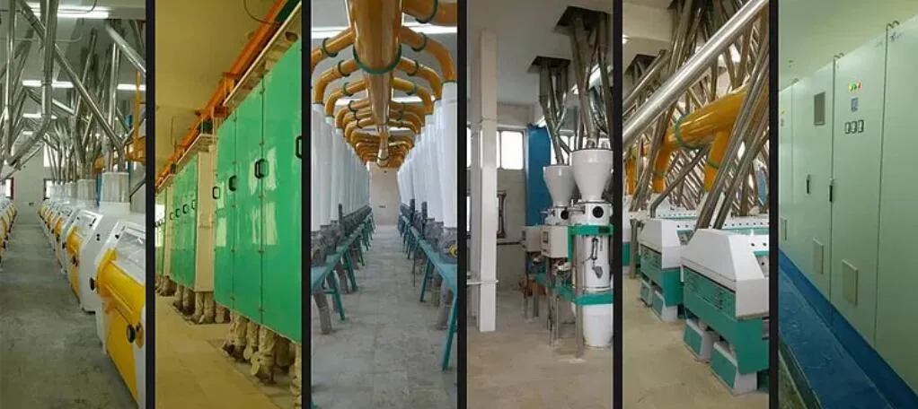 Wheat Mills Grain Processing Machines Single Machines Spare Parts Supplier