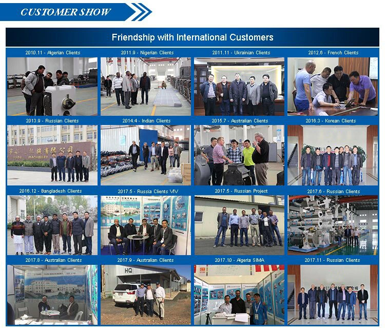 China Made 2-5 Ton Per Hour Poutry/Livestock/Cattle/Sheep/Duck/Fish/Shrip/Pet Extruder Feed Production Machine Line Including Hammer Mill/Pellet Mill Machine