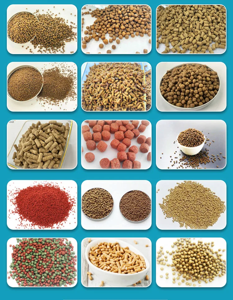 Aquaculture 2mm Floating Fish Feed Machinery Pellet Extruder Machine Grinder Meat for Feeding Fish