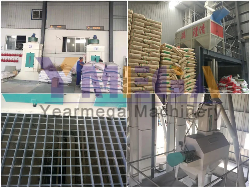 Animal Poultry Chicken Cattle Fish Feed Pellet Machine Line for Animal Feed Production