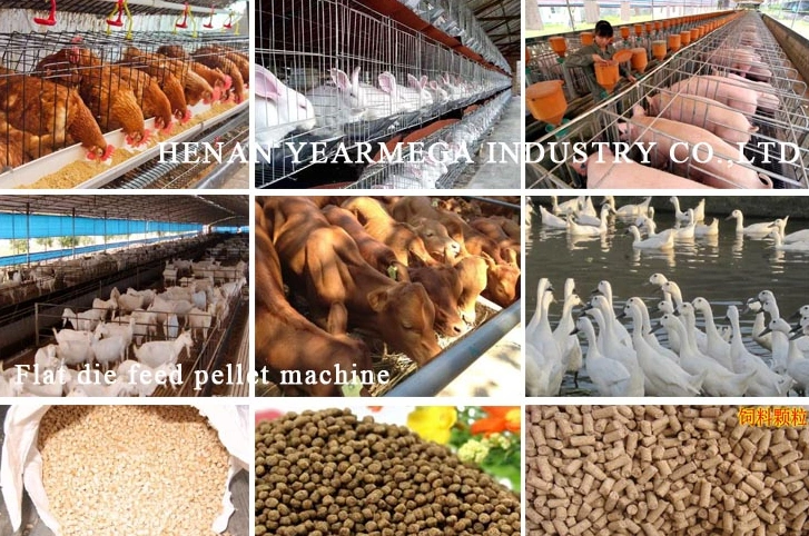 Popular Used in Europe Small Automatic Animal Feed Pellet Mill