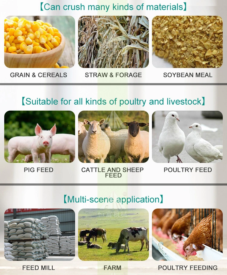 Animal Feed Granulator Poultry Feeding Pellet Machine Poultry Feed Making Line