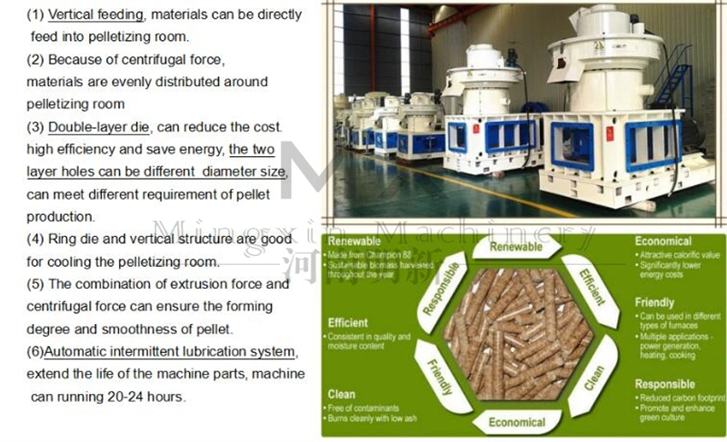 Automatic Wood Pelletizer Biomass Sawdust Pellet CE Approved Wood Pellet Mill