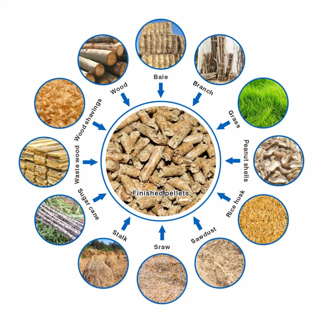 100-300kg/H Wood Pellet Making Machine Rice Husk Sawdust Granulator Biomass Fuel Pellets Mill Machine with CE