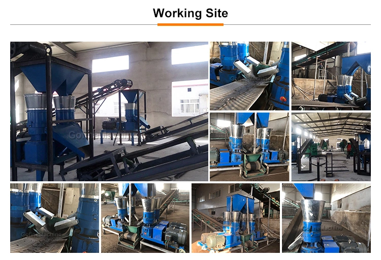 Poultry Feed Pellet Mill Animal Fish Feed Pelletizing Processing Machine of Chicken