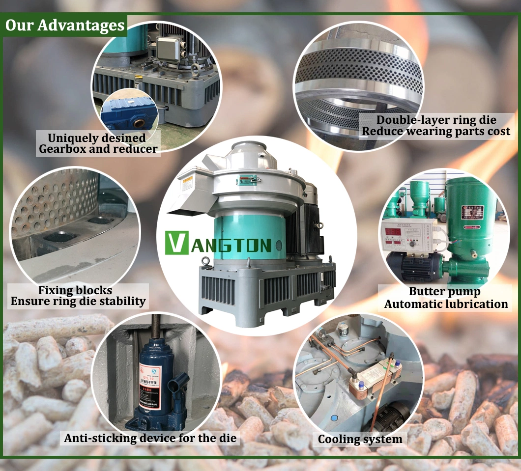 China Supplier/Manufacturers Ring Die Straw/Sawdust/Ricehusk/Biomass Pellet Machine for Making Wood Pellets