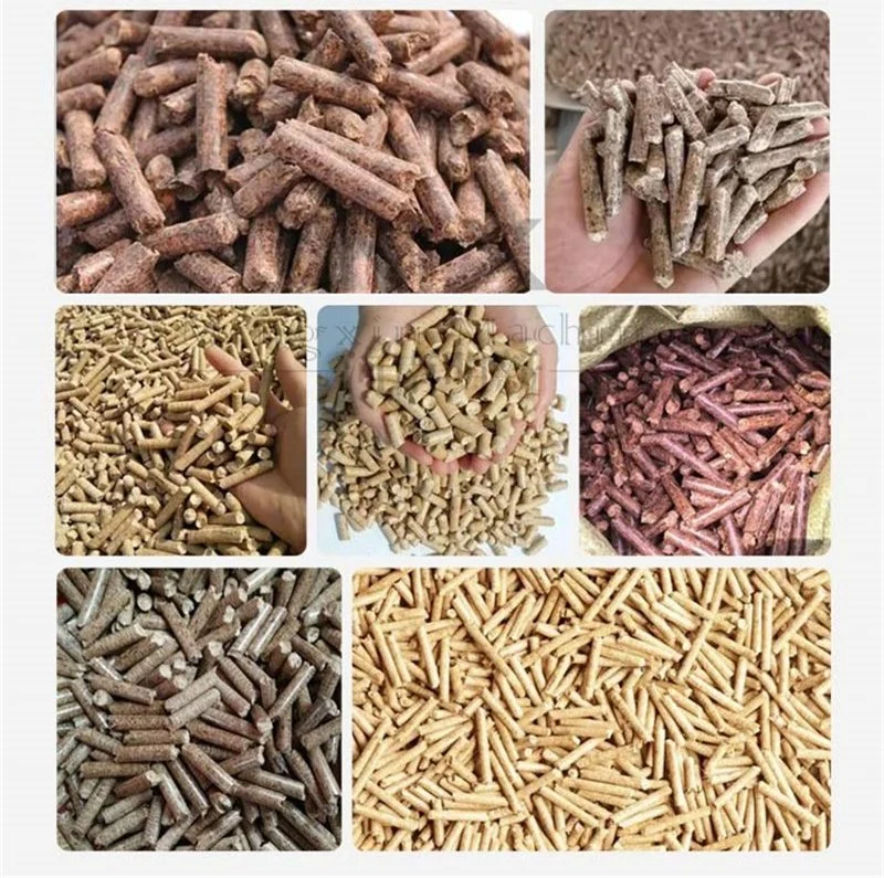 Factory Supply 1-3t/H Rice Husk Pelletizer Biomass Ring Die Wood Pellet Mill