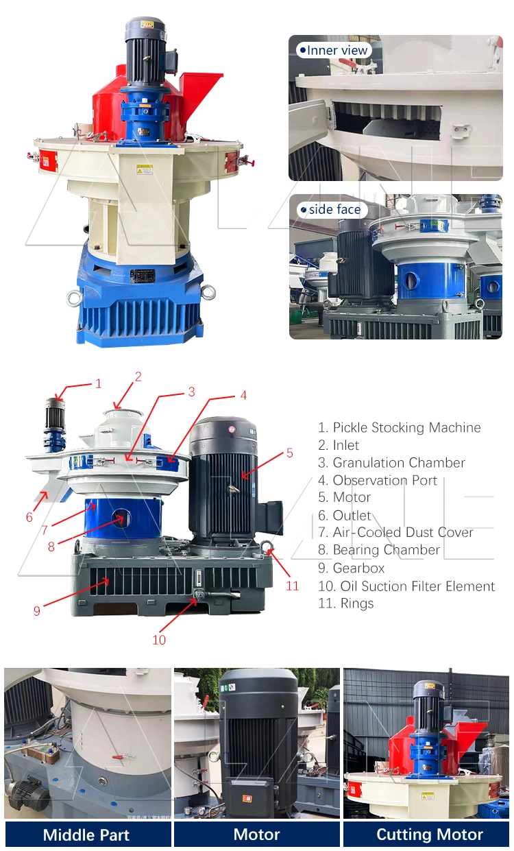 Lane Biomass Pellet Machine Vertical Ring Die Type Biomass Granulator Supplier Pelet Machine Ring Die