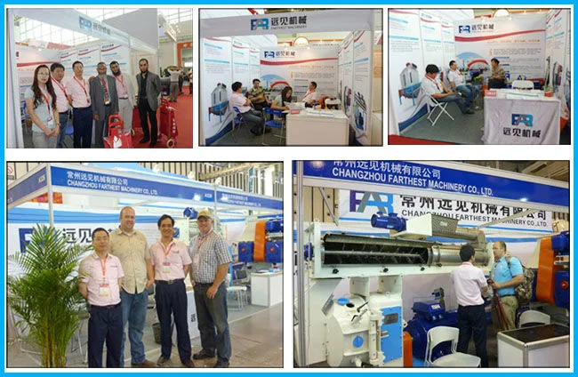 Factory Price Famous Engineering Pellet Mill Extruded Feed Machine Production Line