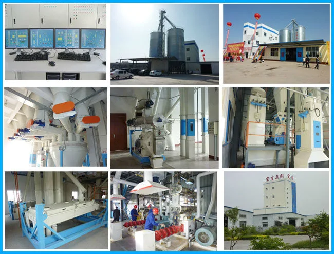 Farm Use 3t/H Alfafa Cow Cattle Chicken Feed Pellet Mill Plant Poultry Animal Feed Pellet Mill Machine