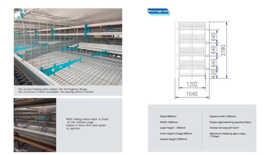 Hot Sale Automatic Egg Laying Feeding System Breeding Battery Poultry Farm Layer Broiler Birds Hen Chicken Cage Coop Machine