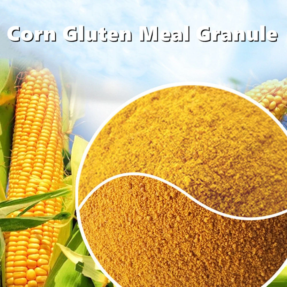 Corn Gluten Feed Pellet Meal 60% Protein Protein Powder Supplement Corn Gluten Feed