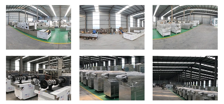 Professional Dry Floating Fish Shrimp Feed Pellet Processing Making Equipment Machine Animal Aquarium Pet Food Plant Production Line Extruder