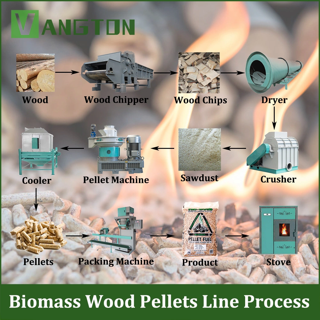 Biofuel Energy Straw Rice Husk Sawdust Bamboo Powder Tree Branches Biomass Wood Pellet Mill