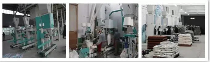 Wheat/Maize Flour Milling Machine with Low Price