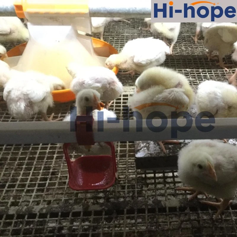 Automatic Poultry Farm Equipment Nipple Drinking System for Chicken