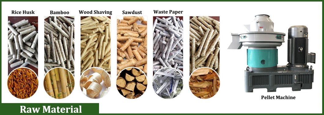 Ring Die Biomass Wood Pellet Machine for Sawdust/Straw/Ricehusk/Coconut/Peanut/Shells/Palm/Leaf/Bagasse/Waste/Branch/Briquette/Pelletizing