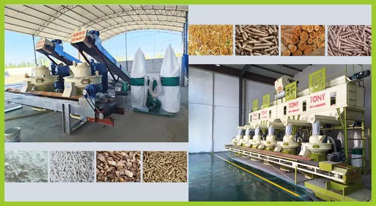 Good Price Big Vertical Ring Die Biomass Pine Wood Pellet Mill Machine Sawdust Wood Pellet Granulator