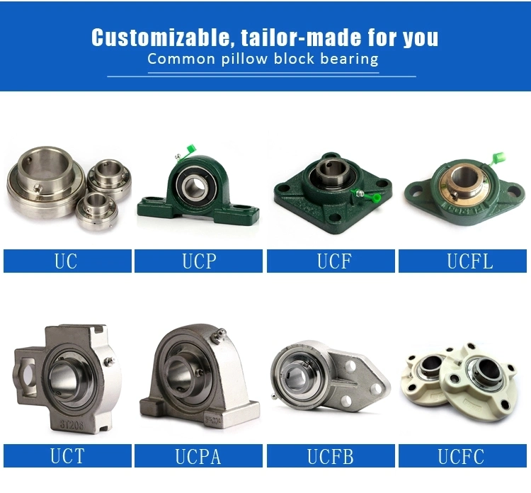 Plastic Housing with Stainless Steel Pillow Block Ball UCP207 Agricultrual Machinery Stainless Steel Ceramic Cylindrical Roller Bearing UC/Ub/Ue/UK/Uel/UCP/Ucfu