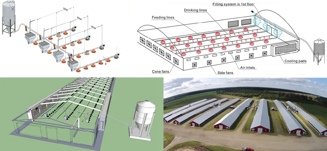 Broiler Floor Raising Chicken Farming/Farm Feeding System Automatic Poultry Machine/Equipment