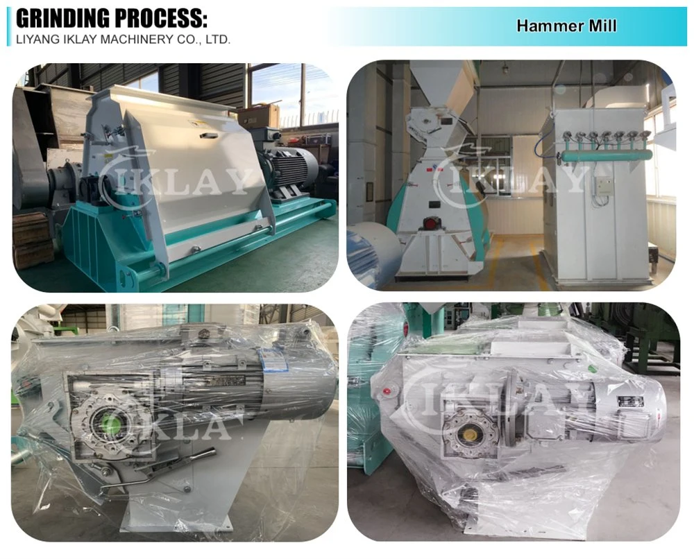 10-12 Mt/H Cattle Feed Production Line CE Chicken Feed Pellet Mill Line Animal Feed Plant