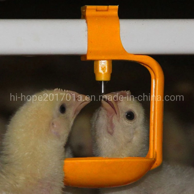 Automatic Poultry Farm Equipment Nipple Drinking System for Chicken