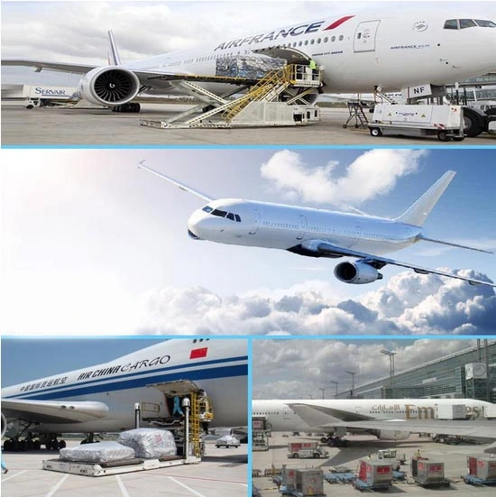 Best Battery Transportation in 2022 / Alibaba /1688 Express, Sea / Air / Sea Container / Freight Forwarder From China to The UK / World