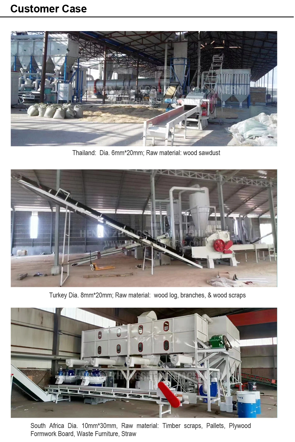 Factory Direct Supply Biofuel Energy Vertical Ring Die Wood Pellet Making Machine Line