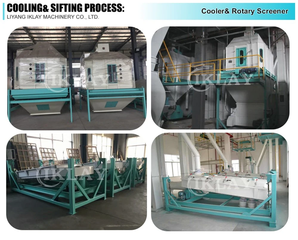 10-12 Mt/H Cattle Feed Production Line CE Chicken Feed Pellet Mill Line Animal Feed Plant