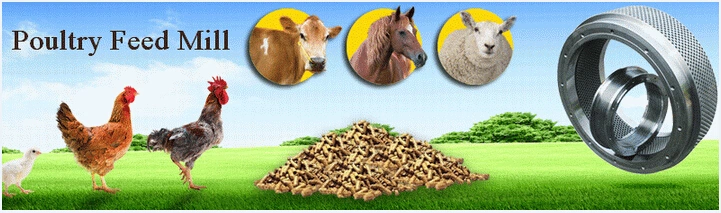 Large Capacity Livestock Animal Cattle Chicken Duck Poultry Feed Plant 40 Tonnes Feed Pellet Line for Sale