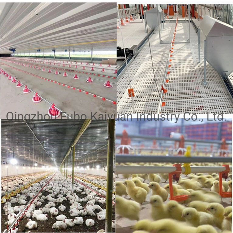 Automatic Farming Feeding &amp; Drinking Poultry Equipment for Broiler/Chicken House/Duck House
