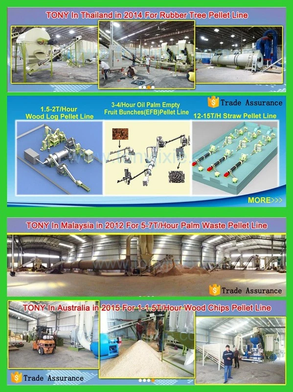 Factory Direct Supply Vertical Ring Die 3-4t/H Complete Wood Pellet Production Line