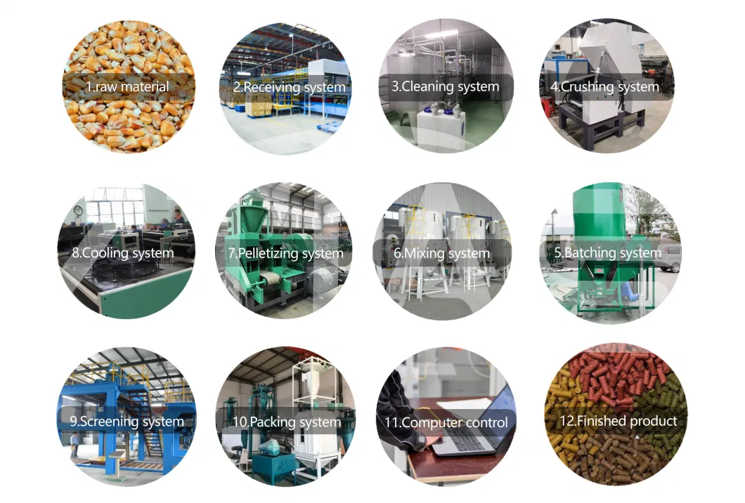 Factory Supply Complete 3-5t/H Animal Feed Chicken Cattle Feed Pellet Production Line