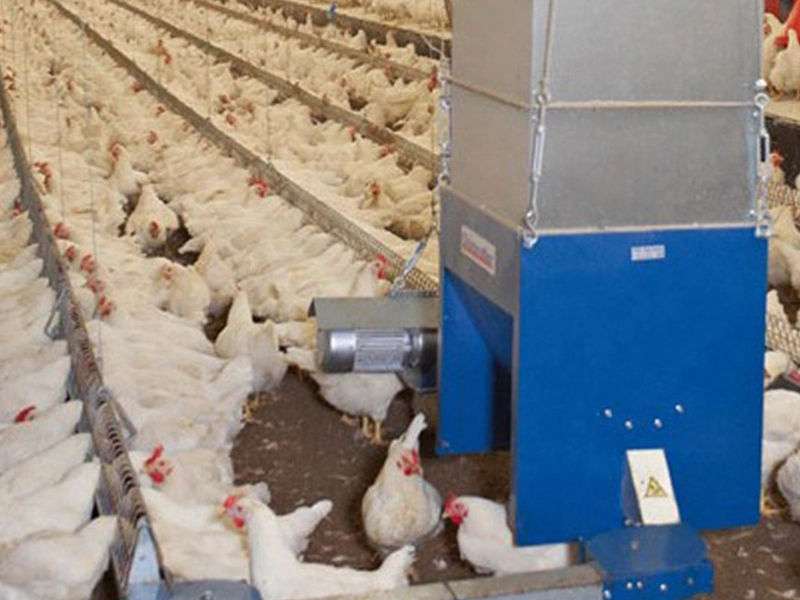 2023 Chicken Automatic Poultry Feeder Line Breeder Chain Feeding Equipment