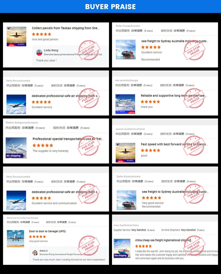 Profession Air Transportation Amazon Fba From China to Europe