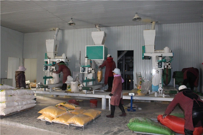 Africa Market Maize Flour Corn Grits Roller Germ Extraction Grinding Milling Machine/Plant