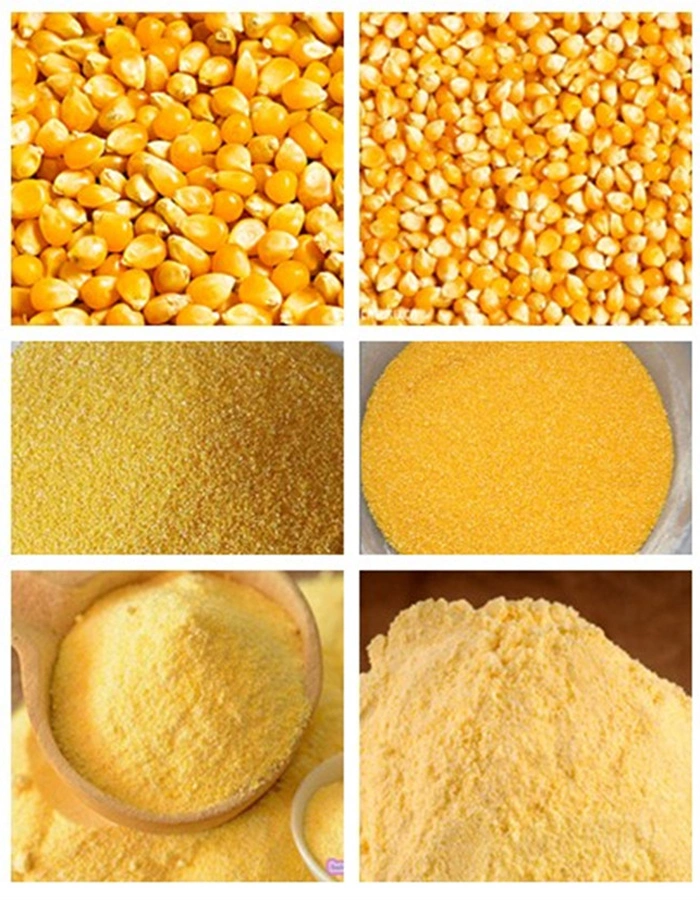 Africa Market Maize Flour Corn Grits Roller Germ Extraction Grinding Milling Machine/Plant
