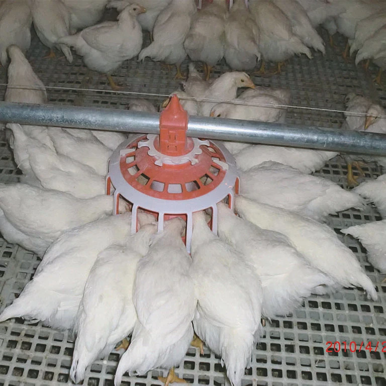 High Quality Broiler Poultry Farm Automatic System Feeding Equipment