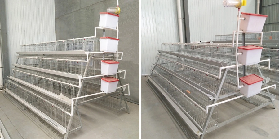 Chinese Manufacturer Design Chicken Coop Automatic Feeding Drinking Ventilation Equipment