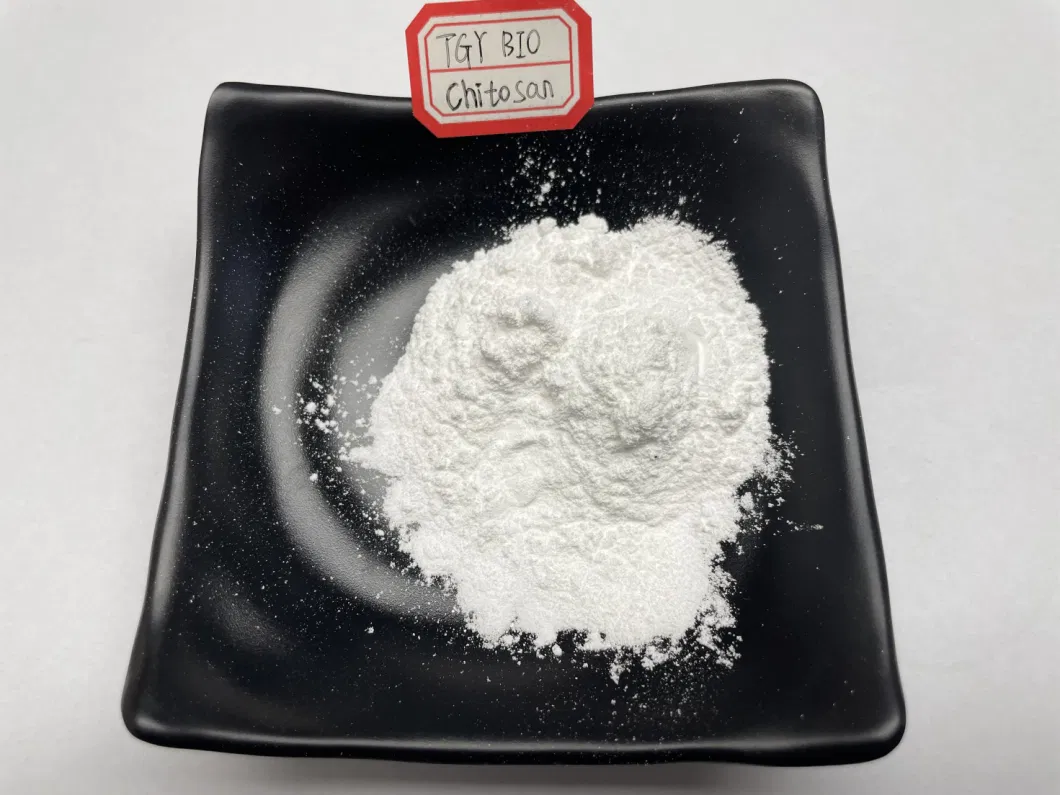99% High Pure Chitosan Powder 9012-76-4 Feed Additives Chitosan